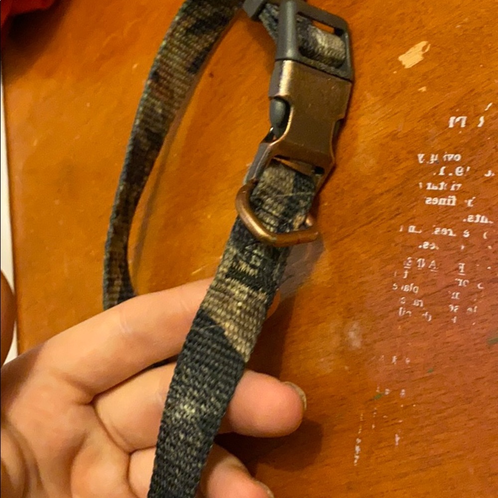 Dog collar